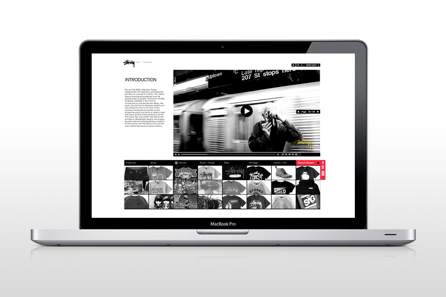 http://www.landscape-studio.net/files/gimgs/23_stussynarvidinscreen.jpg