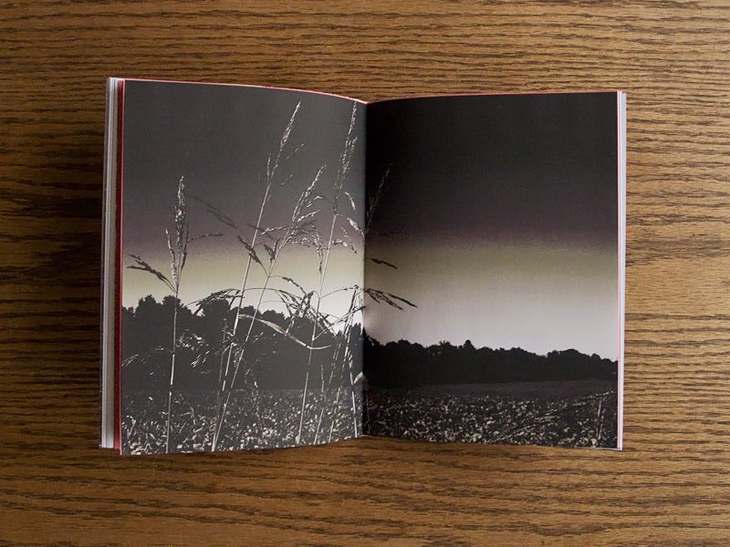 http://www.landscape-studio.net/files/gimgs/44_duckbookimage.jpg