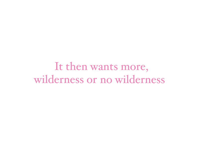 http://www.landscape-studio.net/files/gimgs/44_wilderness.jpg