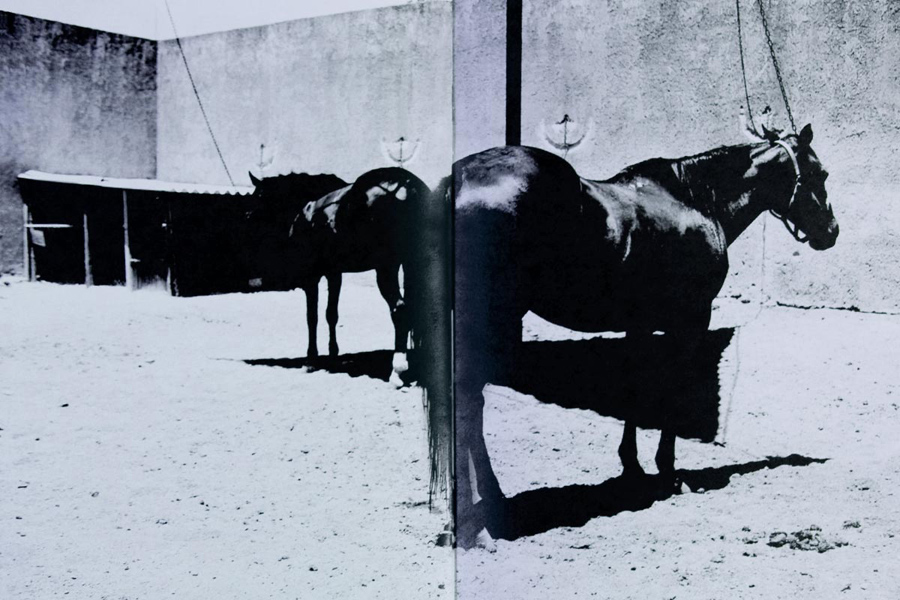 http://www.landscape-studio.net/files/gimgs/46_somethingleftb8.jpg