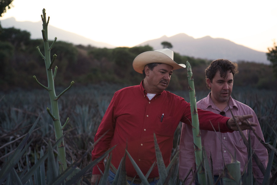 http://www.landscape-studio.net/files/gimgs/47_n0010162agave.jpg