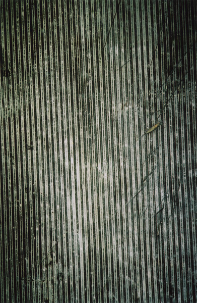 http://www.landscape-studio.net/files/gimgs/51_bmctexture.jpg